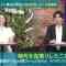 230530 Barairo Dandy – ex-AKB48 Akimoto Sayaka – HD.mp4-00005
