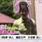 230603 Ima Doki! Saitama – ex-AKB48 Matsui Sakiko – HD.mp4-00002