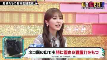 230608 Watashi no Baka Semai Shi – Hinatazaka46 Kato Shiho – HD.mp4-00011