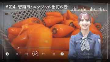 230622 Nogizaka46 Sato Kaede Neiroisan ~Aichi 69-shiku Chouson no Oto Atsume~ 214 – Nogizaka46 Sato Kaede – HD