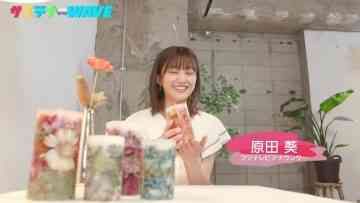 230717 Taikan! Sustaina WAVE – Sakurazaka46 Harada Aoi – HD.mp4-00001