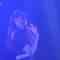230716 SKE48 Theater Performance 1700 – HD.mp4
