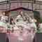 230806 TOKYO IDOL FESTIVAL 2023 DAY3 HOT STAGE – HKT48 Cut – FHD.mp4-00003