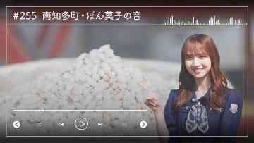 230809 Nogizaka46 Sato Kaede Neiroisan ~Aichi 69-shiku Chouson no Oto Atsume~ 255 – Nogizaka46 Sato Kaede – HD