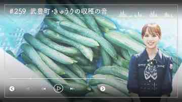 230814 Nogizaka46 Sato Kaede Neiroisan ~Aichi 69-shiku Chouson no Oto Atsume~ 259 – Nogizaka46 Sato Kaede – HD