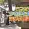 230818 Shin YNN NMB48 CHANNEL – GSGK5 Genchi Shuugou Genchi Kaisan 3 – FHD