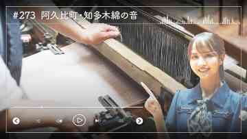 230830 Nogizaka46 Sato Kaede Neiroisan ~Aichi 69-shiku Chouson no Oto Atsume~ 273 – Nogizaka46 Sato Kaede – HD