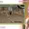 230831 Game Majime-san – ≠ME – HD.mp4-00003