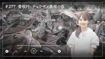 230904 Nogizaka46 Sato Kaede Neiroisan ~Aichi 69-shiku Chouson no Oto Atsume~ 277 – Nogizaka46 Sato Kaede – HD