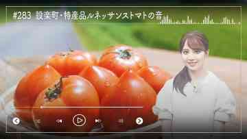 230911 Nogizaka46 Sato Kaede Neiroisan ~Aichi 69-shiku Chouson no Oto Atsume~ 283 – Nogizaka46 Sato Kaede – HD