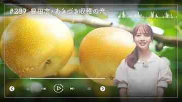230918 Nogizaka46 Sato Kaede Neiroisan ~Aichi 69-shiku Chouson no Oto Atsume~ 289 – Nogizaka46 Sato Kaede – HD