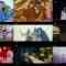 230920 MTV Nogizaka46 Video Selects – HD-tile