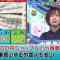 230927 Cream Quiz Miracle 9 2Hours SP – ex-AKB48 Oya Shizuka – HD.mp4-00006