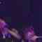 231001 NMB48 Theater Performance 1400 – HD.mp4