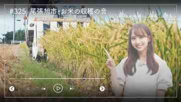 231030 Nogizaka46 Sato Kaede Neiroisan ~Aichi 69-shiku Chouson no Oto Atsume~ 325 – Nogizaka46 Sato Kaede – HD