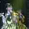 231031 NMB48 Theater Performance 1845 – HD.mp4
