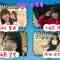 231031 STU48 no KuraCon – HD.mp4-00001