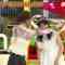 231105 Nettou! M League – ex-SKE48 Suda Akari – HD.mp4-00008
