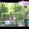 231123 ZIP! – Hinatazaka46 Sasaki Mirei Cut – HD.mp4-00005