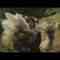 [MV] Sakurazaka46 – Sukimakaze yo – FHD (M-ON! Ver).mp4-00001