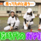 Sakura Meets TELASA Limited! Timon D no Gachi Training ni Chousen – HD