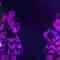 231126 NMB48 Theater Performance 1830 – HD.mp4