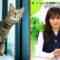 231201 Neko Inu Wide Show – ex-NMB48 Yamamoto Sayaka – HD.mp4-00012