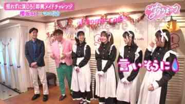 231207 Sakura Meets 33 – HD.mp4-00002