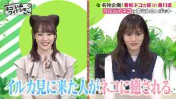 231208 Neko Inu Wide Show – ex-NMB48 Yamamoto Sayaka – HD.mp4-00007