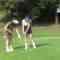 231210 Upgrade Golf – ex-AKB48 Nagao Mariya – HD.mp4-00003