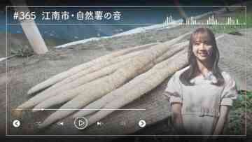 231215 Nogizaka46 Sato Kaede Neiroisan ~Aichi 69-shiku Chouson no Oto Atsume~ 365 – Nogizaka46 Sato Kaede – HD