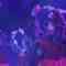 240111 SKE48 Theater Performance 1830 – HD.mp4