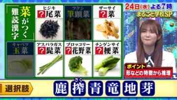 240121 Cream Quiz Miracle 9 Masterpiece Selection – ex-AKB48 Oya Shizuka – HD.mp4-00002