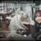 image_processing20240206-6-1wz2x7a
