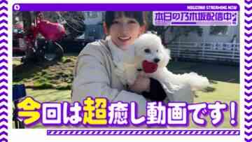 230324 [Healing] Members Played With Their Dogs At The Dog Run! [Naughty Dogs Rampage] – Nogizaka46 Sato Kaede, Ikeda Teresa, Tomisato Nao – FHD.mp4-00001