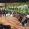 240302 Venue 101 – ex-Nogizaka46 Ikuta Erika – HD.mp4-00017