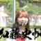 240323 Atarashii Kagi – Hinatazaka46 Kato Shiho – HD.mp4-00001