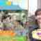 240415 Onegai! Ranking – AKB48 Kashiwagi Yuki – HD.mp4-00016