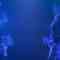 240514 AKB48 Theater Performance 1830 – HD.mp4