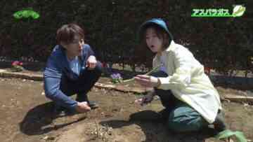 240519 Syumi no Engei Yasai no Jikan – ex-AKB48 Oya Shizuka – HD.mp4-00001