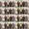 240526 Stage [Hazakaiki] Bonus Video – FHD.mp4
