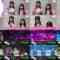 240531 Yoru BAGUETTE – Equal LOVE Cut – FHD.mp4