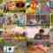 240602 Aruite Kasegou! 1-po 1-en 4th – ex-Nogizaka46 Matsumura Sayuri – HD.mp4