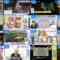 240605 THE TIME – Nogizaka46 Ichinose Miku – HD.mp4