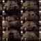 240607 [Buckshot Roulette] Riko Nagi First Russian Roulette [Game Commentary] – Sakurazaka46 Endo Riko, Kojima Nagisa – FHD.mp4