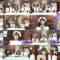 240611 1-ka 8-ka de Zenryoku! ! 18 Ippachi ROOM!! 56 – FHD.mp4