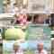 240612 Chiba Asa Live Morning Compass 0645 – ex-AKB48 Yoshikawa Nanase – HD.mp4