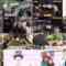 240616 Himu Bus! 11 – ex-Nogizaka46 Shiraishi Mai [Narration] – HD.mp4