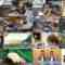 240616 Ogiyahagi no Hapikyan – ex-HKT48 Murashige Anna – HD.mp4