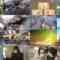 240617 Chikyuu wa Houchi Shitete Mo Sodatanai – ex-Nogizaka46 Ito Marika – HD.mp4